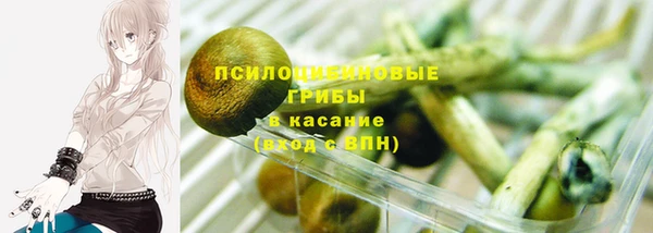apvp Верхний Тагил