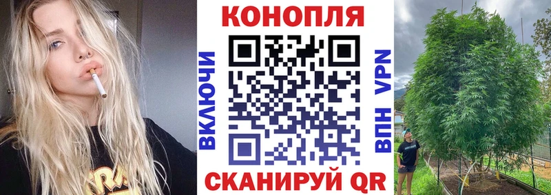 как найти закладки  Когалым  Конопля OG Kush 